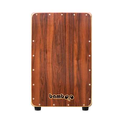 کاخن چیست؟ راهنمای خرید ساز کاخن ارزان قیمت (حرفه ای، هور، لاروسا) در تهران