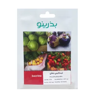بذر فیسالیس بنفش بذرینو کد BZNO-267