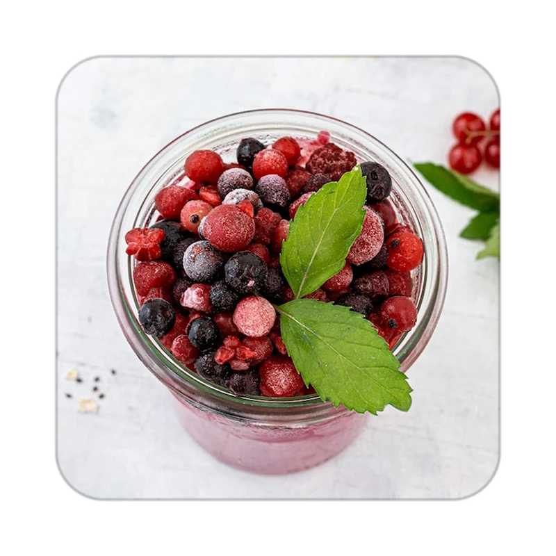 زیر لیوانی کاکتی طرح میوه مدل mp22098