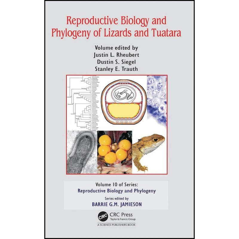 کتاب Reproductive Biology and Phylogeny of Lizards and Tuatara اثر جمعي از نويسندگان انتشارات CRC Press