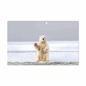 MAHOOT Polar bear Cover Sticker for Microsoft Surface 2 RT 2013