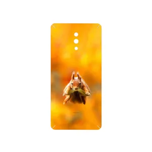 MAHOOT Squirrel Cover Sticker for Oppo RENO 10X