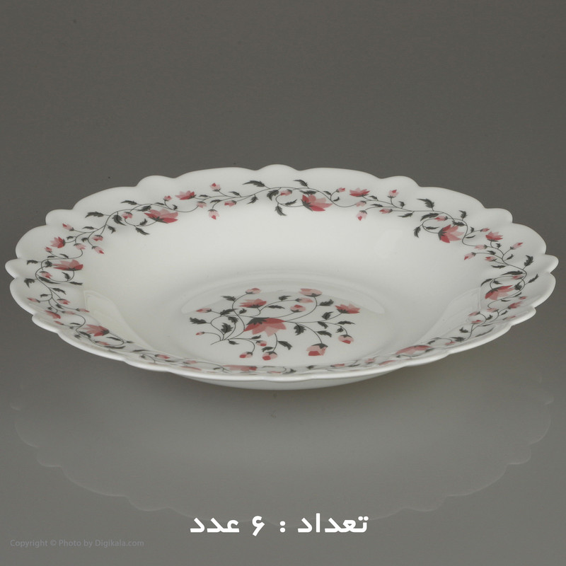 سرویس غذا خوری 25 پارچه آیروپال طرح کنگره مدل گلوریا