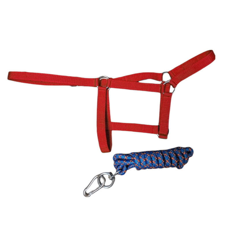 کله گیر اسب کد L01 به همراه طناب