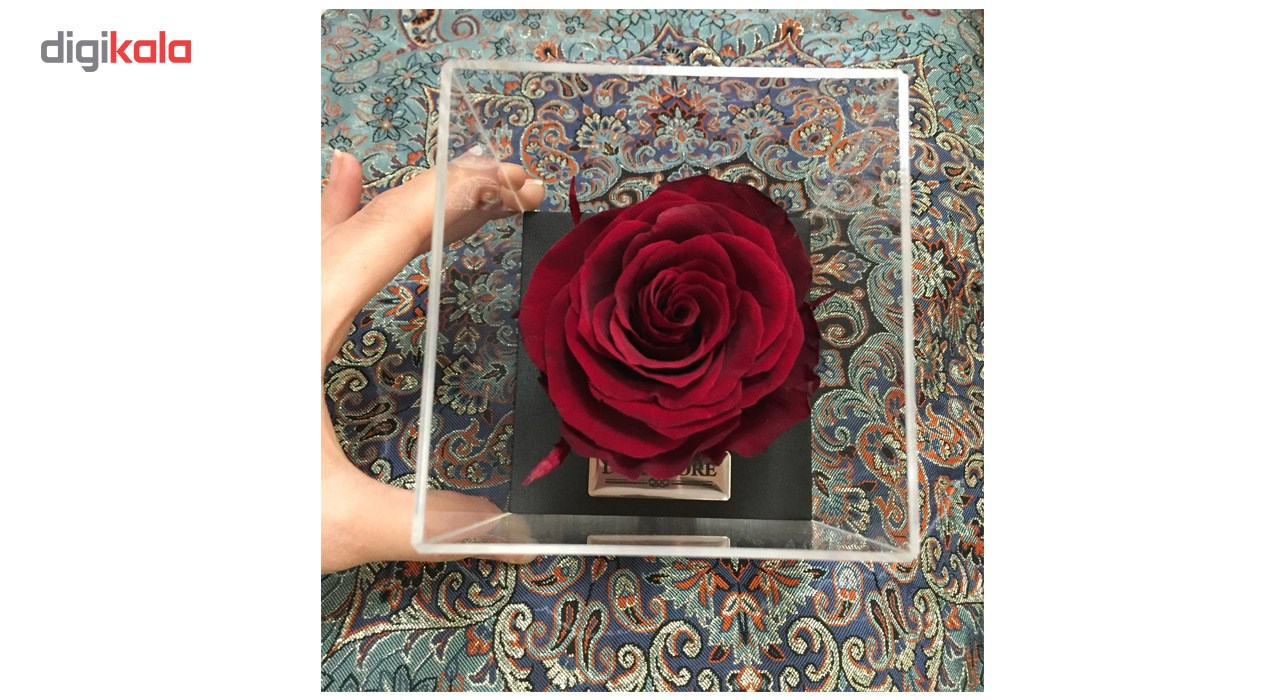 گل ماندگار دکوفیوره مدل رز جاودان مخملى - به همراه پاکت مخصوص