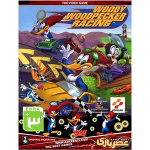 بازی کامپیوتری Woody Woodpecker Racing