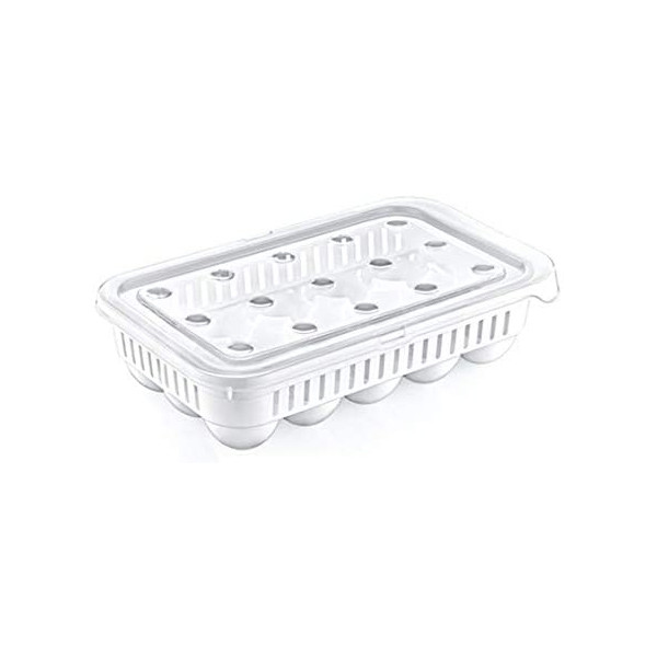 ظرف نگهدارنده تخم مرغ هوبی لایف مدل E-02-1067