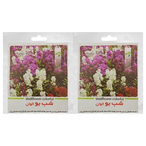 بذر گل شب بو الوان گرین فارم کد SBGR 11 بسته 2 عددی
