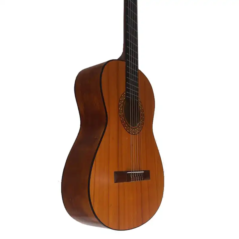 گیتار مدل گولد کد G co2