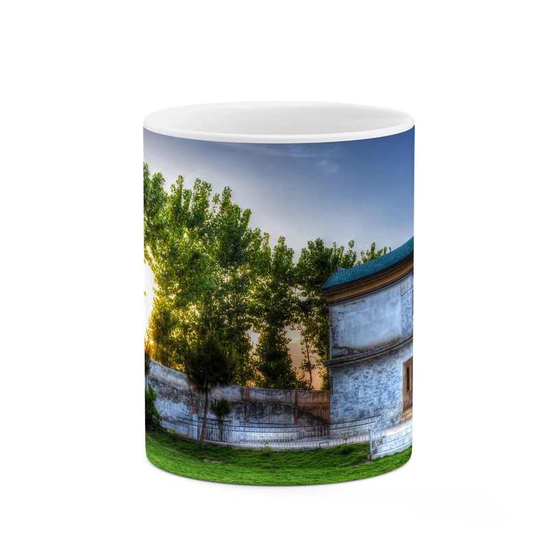 ماگ کاکتی طرح خانه کد mgp10499