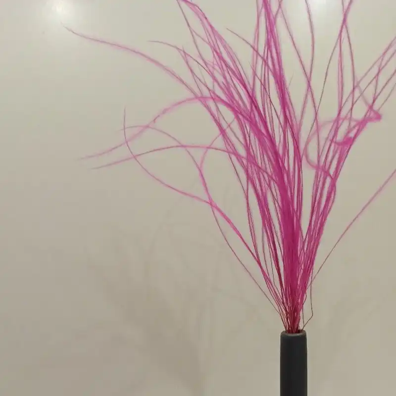 گل خشک مدل ریش بابا