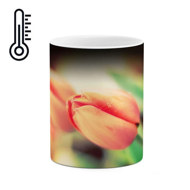 ماگ حرارتی کاکتی مدل گل کد mgh12068