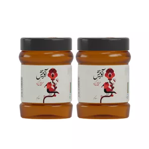 عسل طبیعی چند گیاه آفرینش - 500 گرم بسته 2 عددی