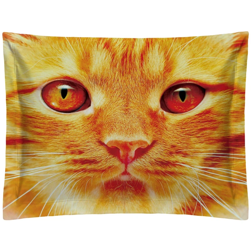 روبالشی رنس مدل P1-20049 سایز 50x70