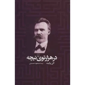Within Nietzsches Labyrinth