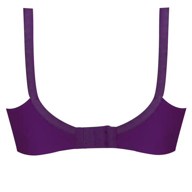 سوتین زنانه پانیذ مدل 310071 رنگ بنفش