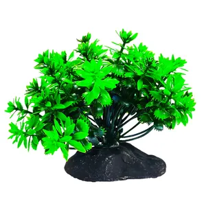 گیاه تزیینی آکواریوم کد 115