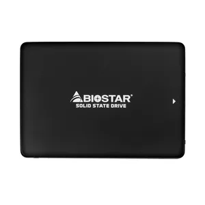 اس اس دی اینترنال بایوستار مدل G330 ظرفیت 256 گیگابایت