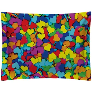 روبالشی رنس مدل P1-20002 سایز 50x70