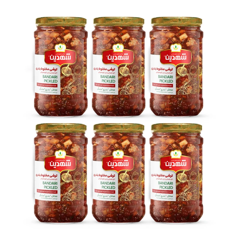 ترشی مخلوط بندری شهدین - 660 گرم بسته 6 عددی