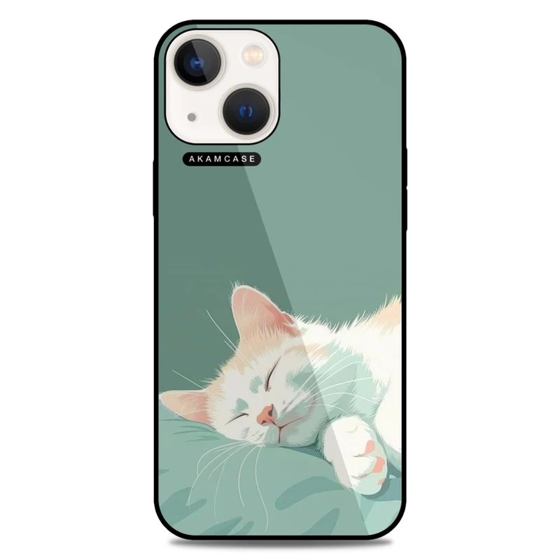 کاور آکام مدل AMC-WA13-CATS-24 مناسب برای گوشی موبایل اپل iPhone 13