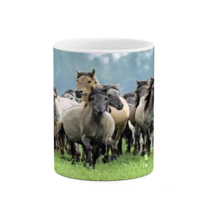 ماگ کاکتی مدل اسب کد mgh24130