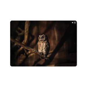 MAHOOT Owl Cover Sticker for Apple iPad Pro 10.5 2017 A1701