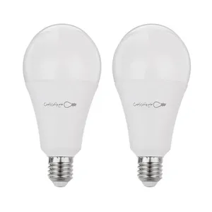 لامپ ال ای دی 20 وات زانیس مدل حبابی پایه E27 بسته 2 عددی