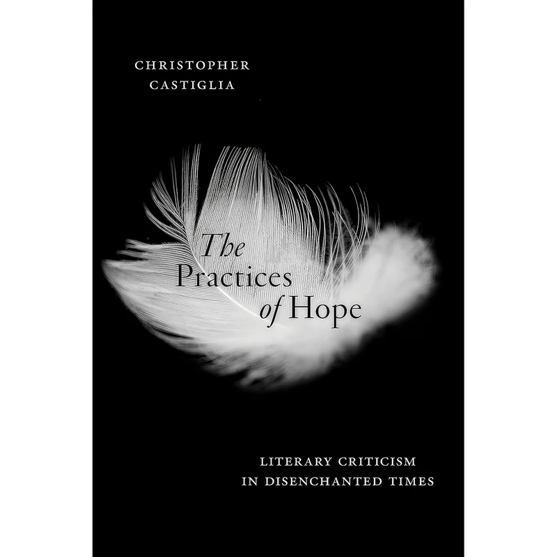 کتاب The Practices of Hope اثر Castiglia انتشارات تازه ها