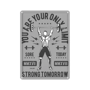 دیوارکوب مدل باشگاه بدنسازی کد s 1300 gym