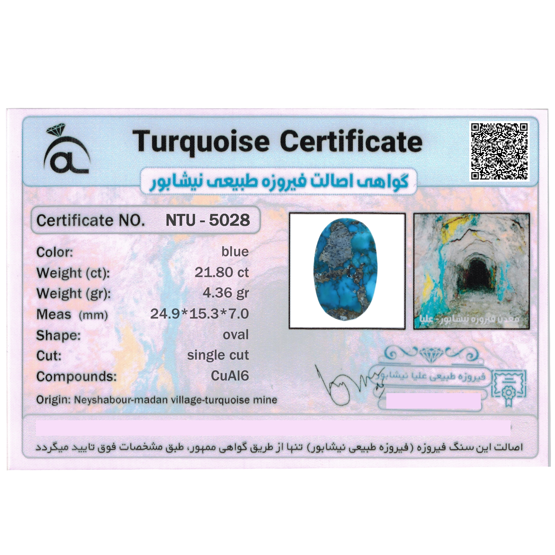 سنگ فیروزه نیشابور مدل طبیعی 21.80 کد NTU-5028