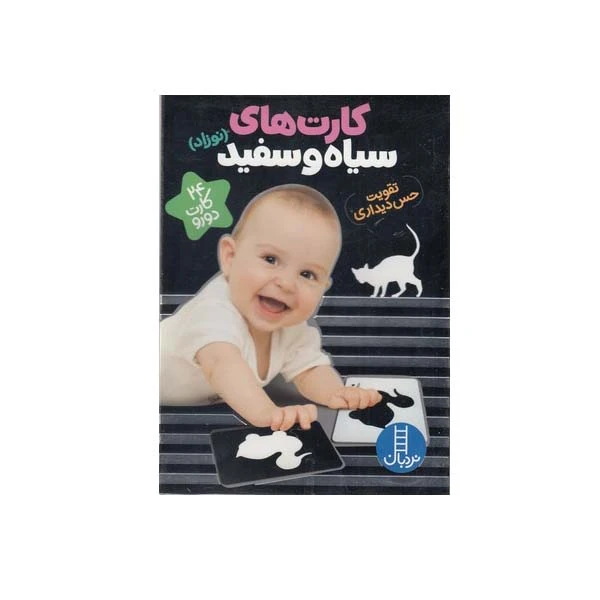 کتاب کارت های سیاه و سفید اثر جمعی از نویسندگان انتشارات فنی ایران