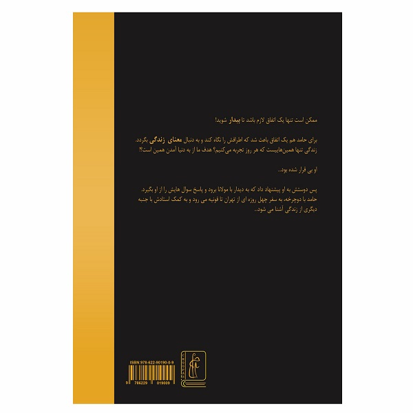 کتاب دیدار با مولانا اثر مهشاد فولادی انتشارات چوپان