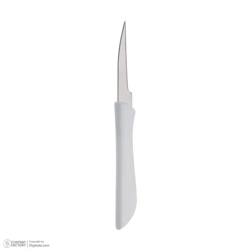 ست ابزار میوه آرایی 19 پارچه کد 019