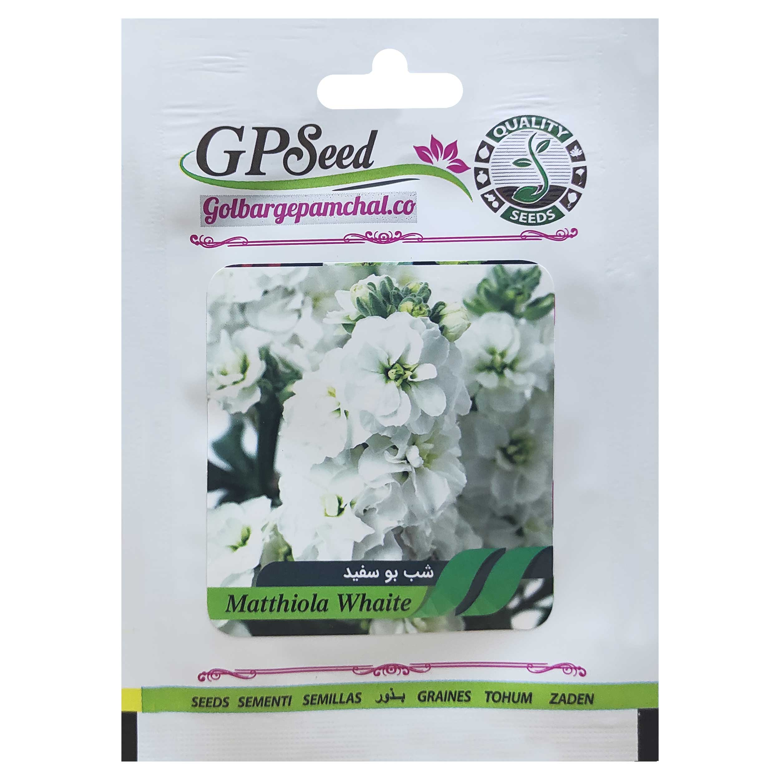 بذر گل شب بو سفید گلبرگ پامچال کد GPF-258