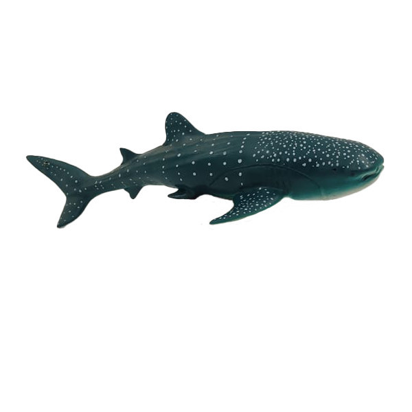 فیگور مدل نهنگ