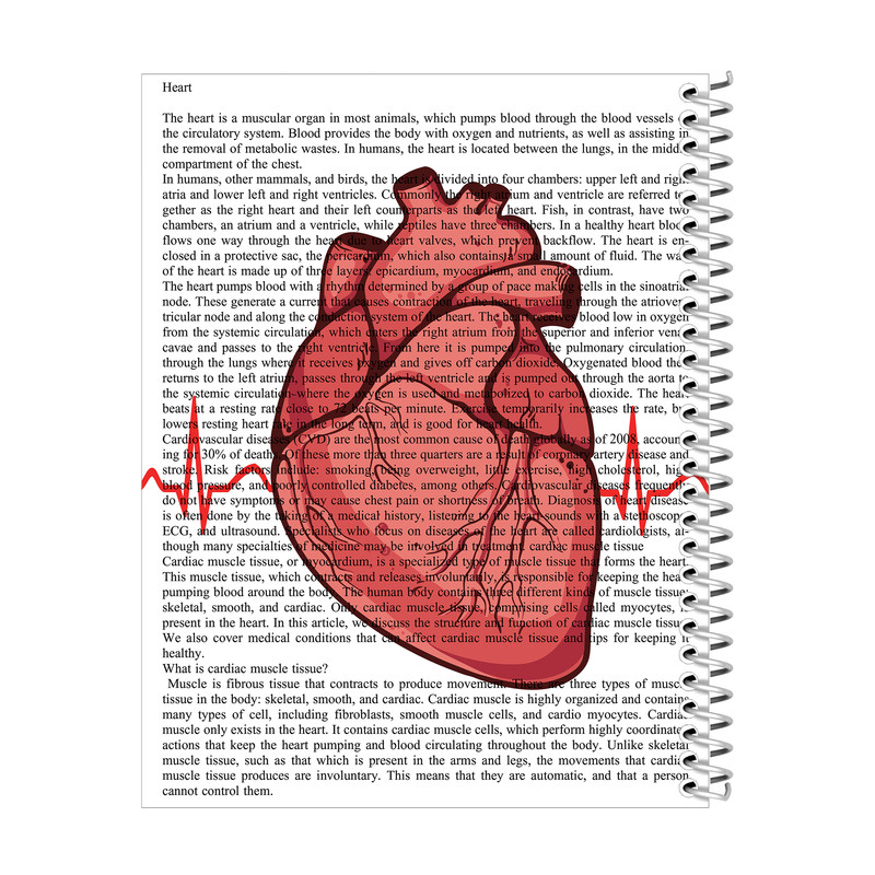 دفتر مشق 100 برگ مدل قلب کد 3