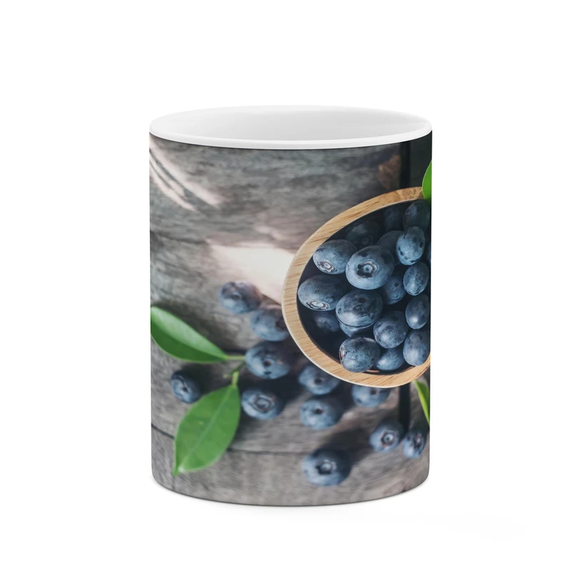 ماگ کاکتی مدل میوه کد mgh17139