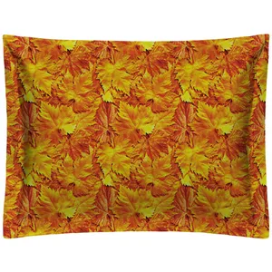 روبالشی رنس مدل P1-20072 سایز 50x70
