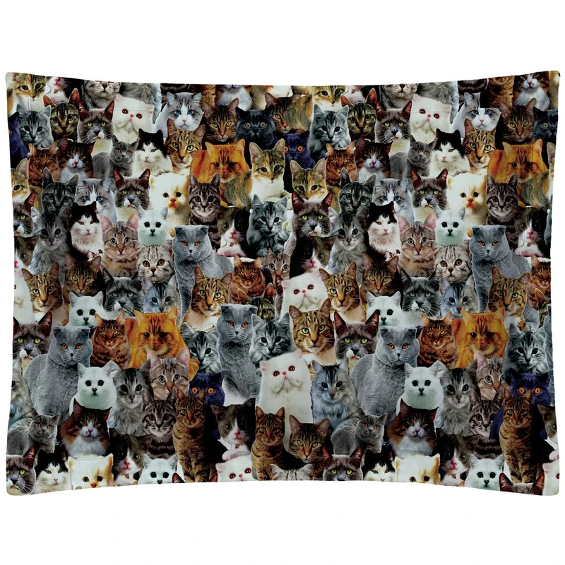 روبالشی رنس مدل P1-20052 سایز 50x70