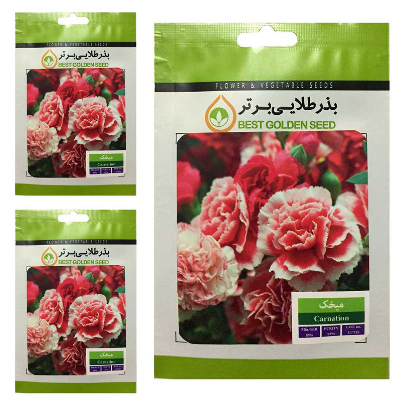 بذر گل میخک بذر طلایی برتر کد BTB-39 مجموعه 3 عددی