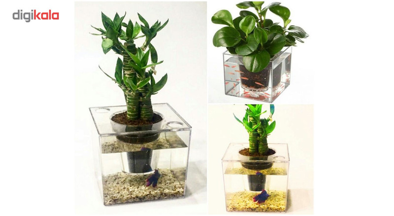 آکواریوم بانومد طرح گلدان مدل ID-18548