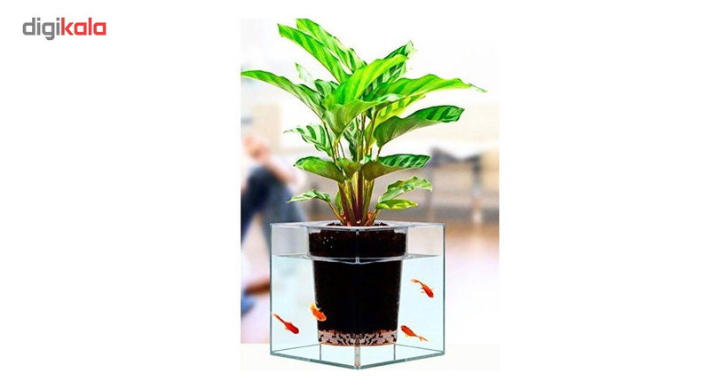 آکواریوم بانومد طرح گلدان مدل ID-18548