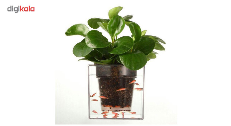 آکواریوم بانومد طرح گلدان مدل ID-18548