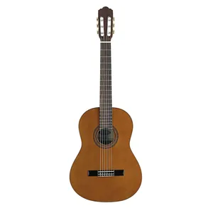 گیتار کلاسیک استگ مدل C548