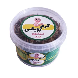 Dream Worm Dried Mealworms 50g