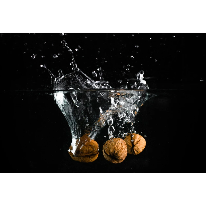 مگنت طرح گردو در آب مدل T1904