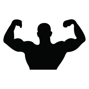 برچسب بدنه خودرو طرح بدنساز کد 979