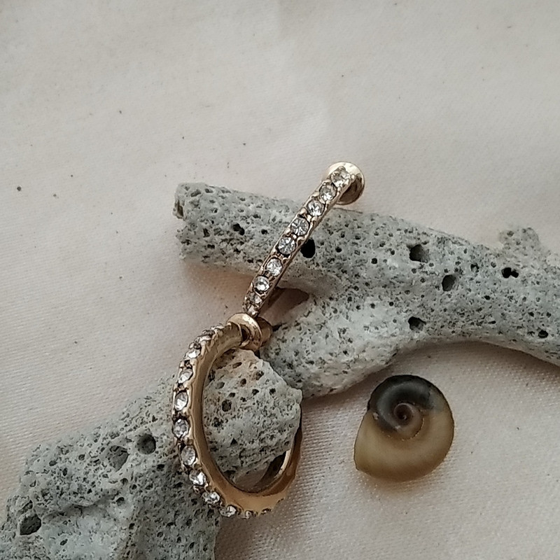 گوشواره زنانه اکسسورایز مدل حلقه ای کد  B76