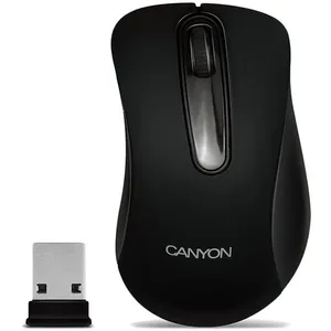 ماوس بی‌سیم کنیون مدل CNE-CMSW2
